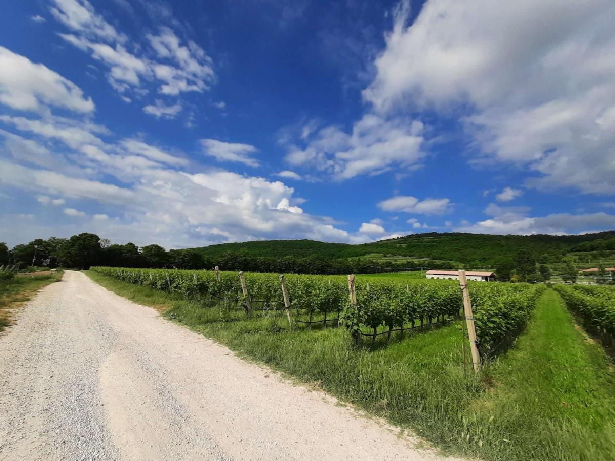 Agriturismo Andreis Alloggi 일라시 외부 사진