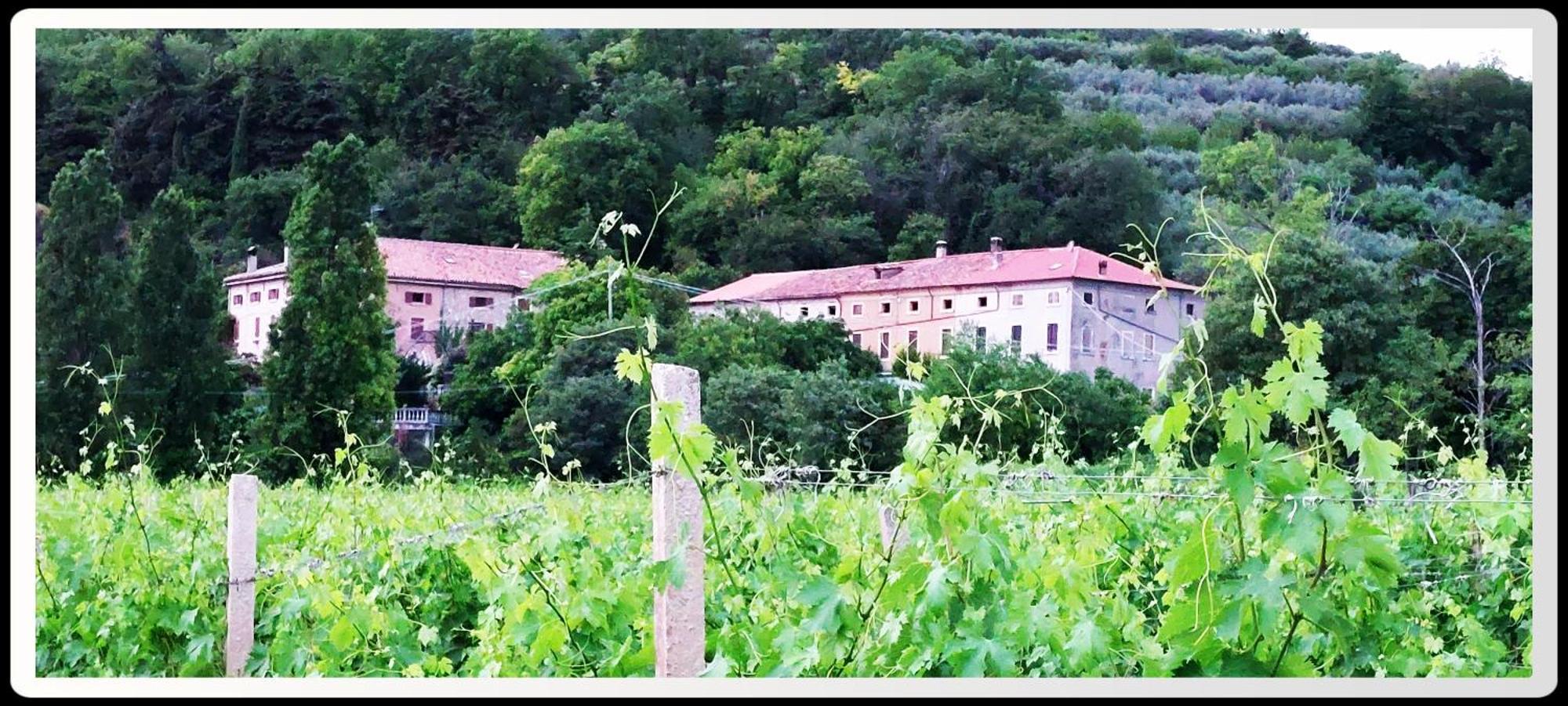 Agriturismo Andreis Alloggi 일라시 외부 사진
